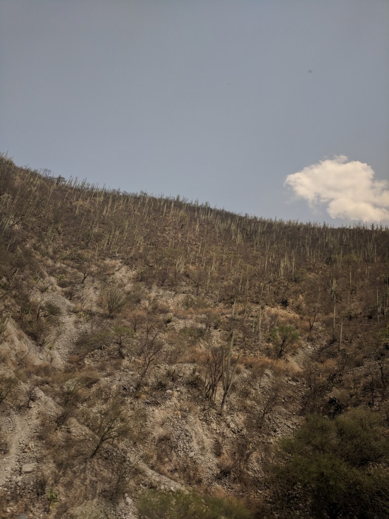 Mtn-MexicoIMG_20180427_151013