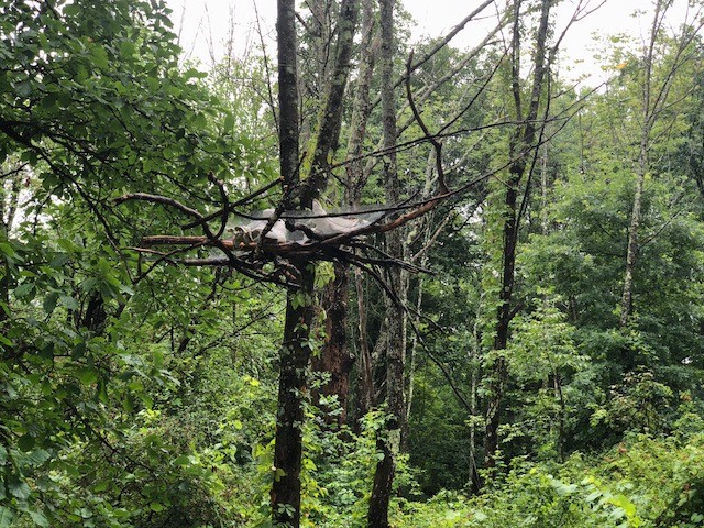 Enjoy! Jan Harrison and Alan Baer's Halcyon