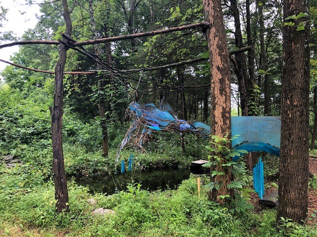 Enjoy! Susan Togut's Emergent Wisdom (1)