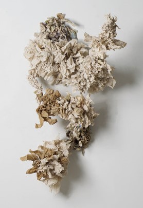 LMR blog Abundance II (1)