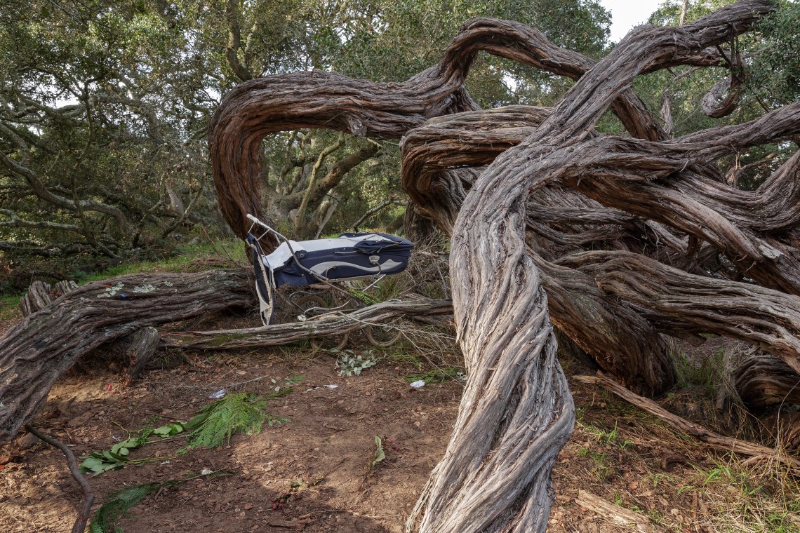 Enjoy-Cecilia Borgenstam - C_Borgenstam_Perego_stroller