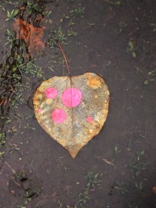 8.NMagnusson_DecoratingNature_Fig138